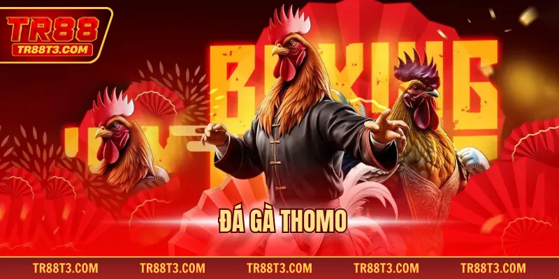 Đá gà Thomo
